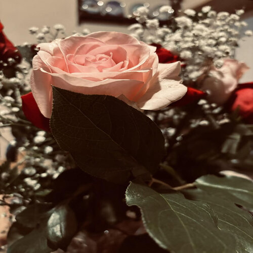 Wedding von Amanda Harris, Fotografie kaufen auf Singulart