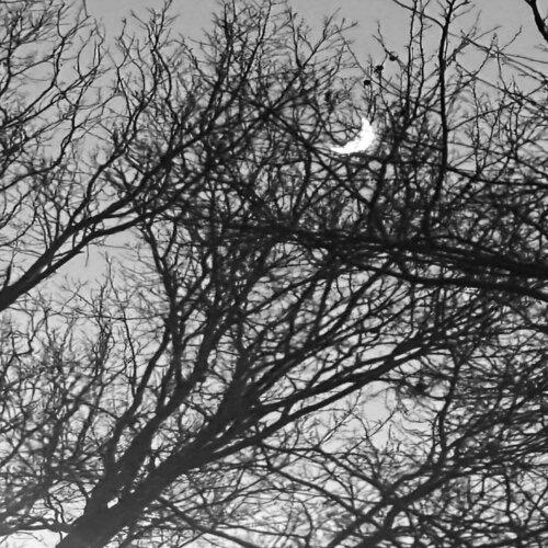 Sliver von Amanda Harris, Fotografie kaufen auf Singulart