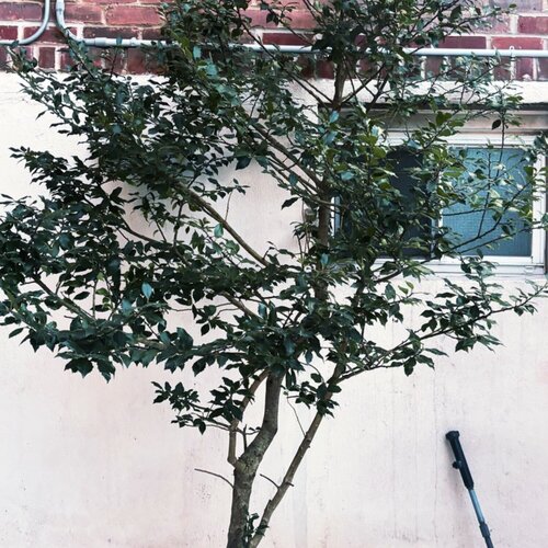 Left Undisturbed van Amanda Harris, Fotografie te koop op Singulart