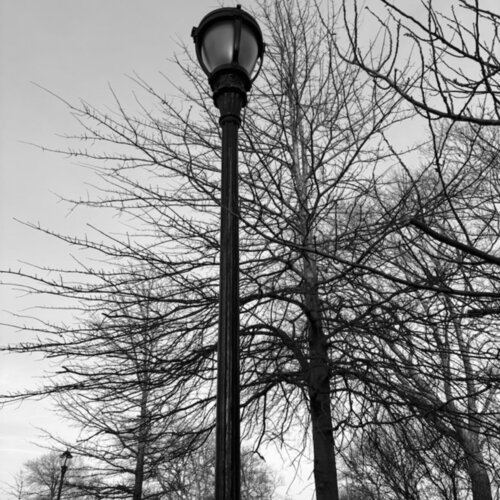 Haunted by Amanda Harris, Photography for Sale on Singulart