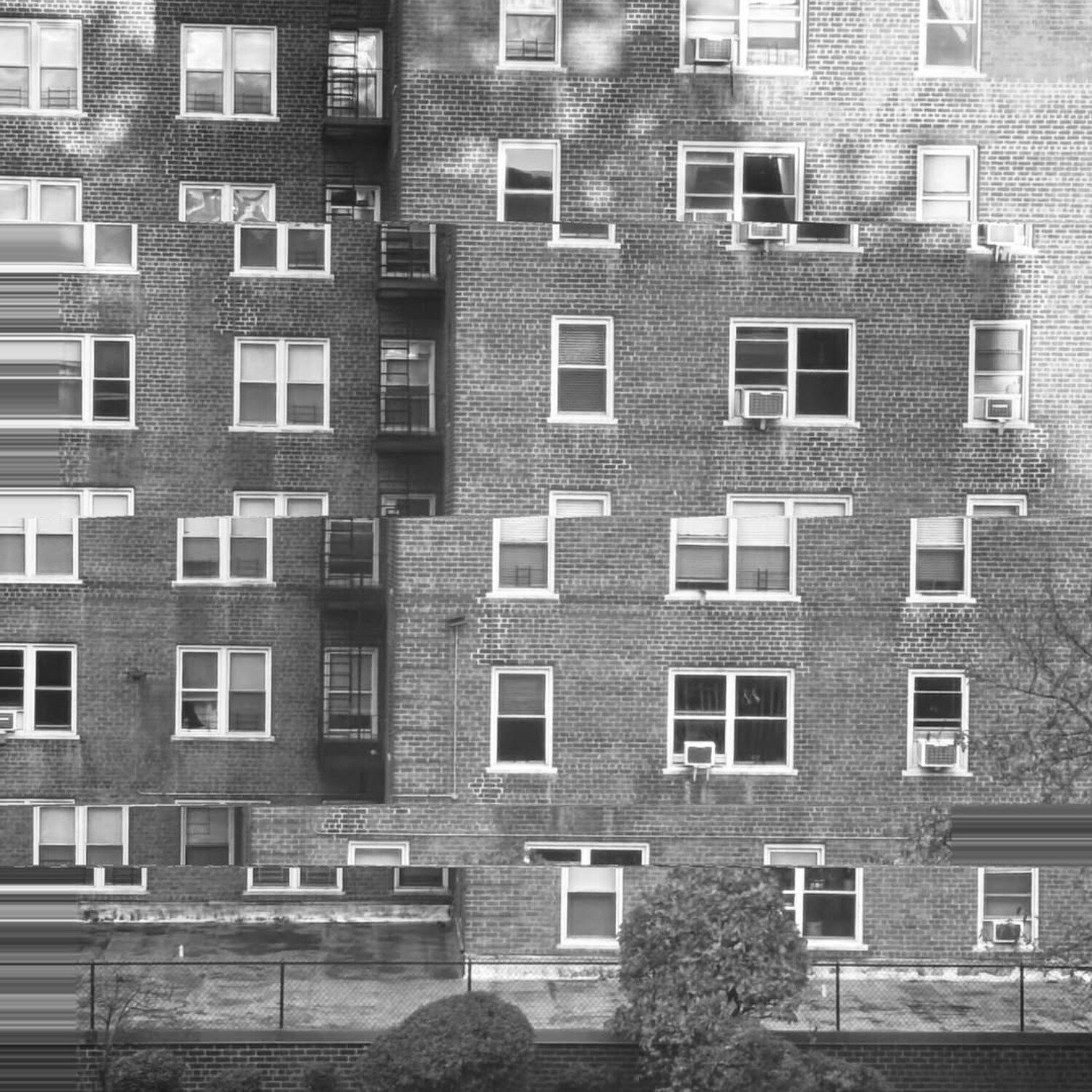 Neighborhood Amanda Harris