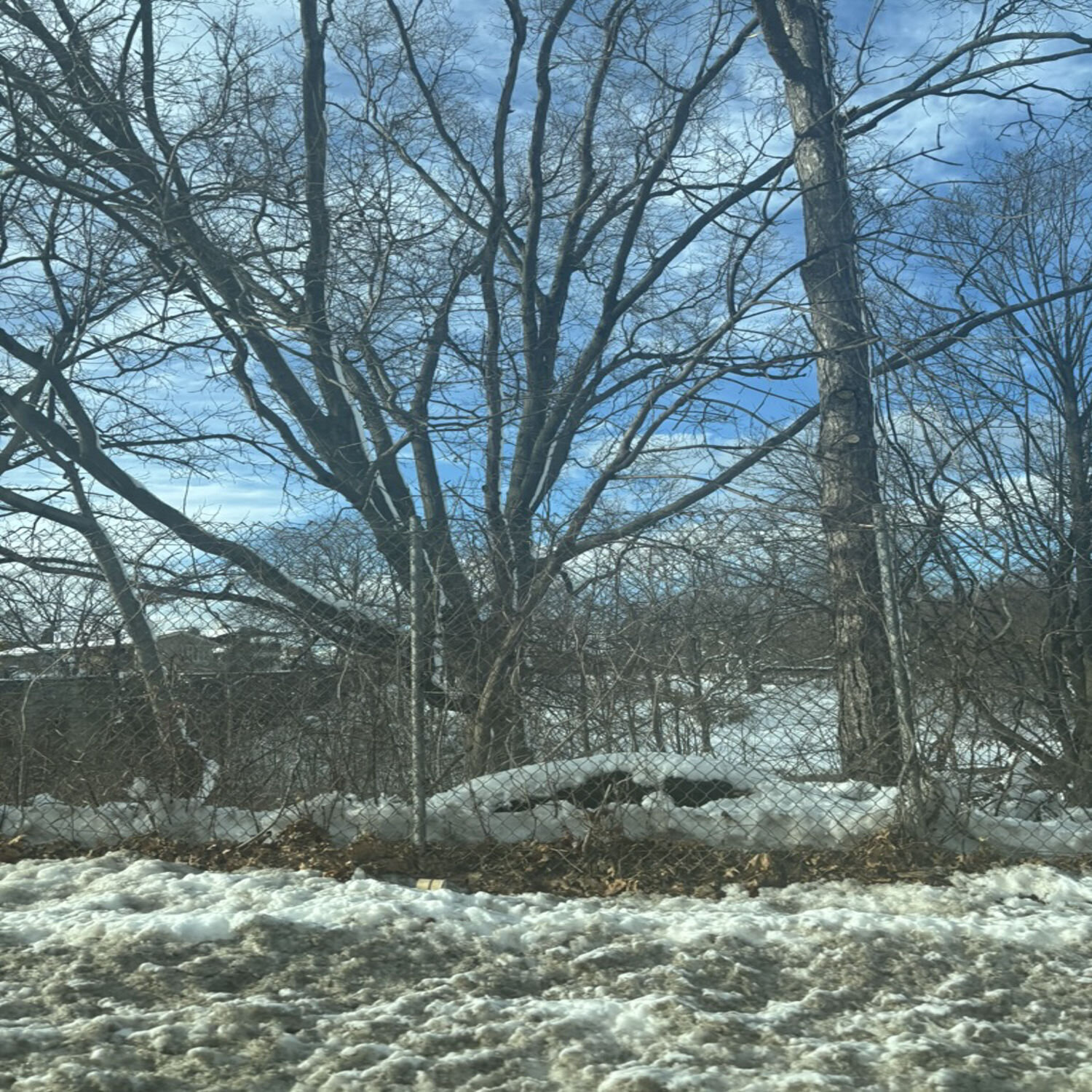 Wedded Amanda Harris