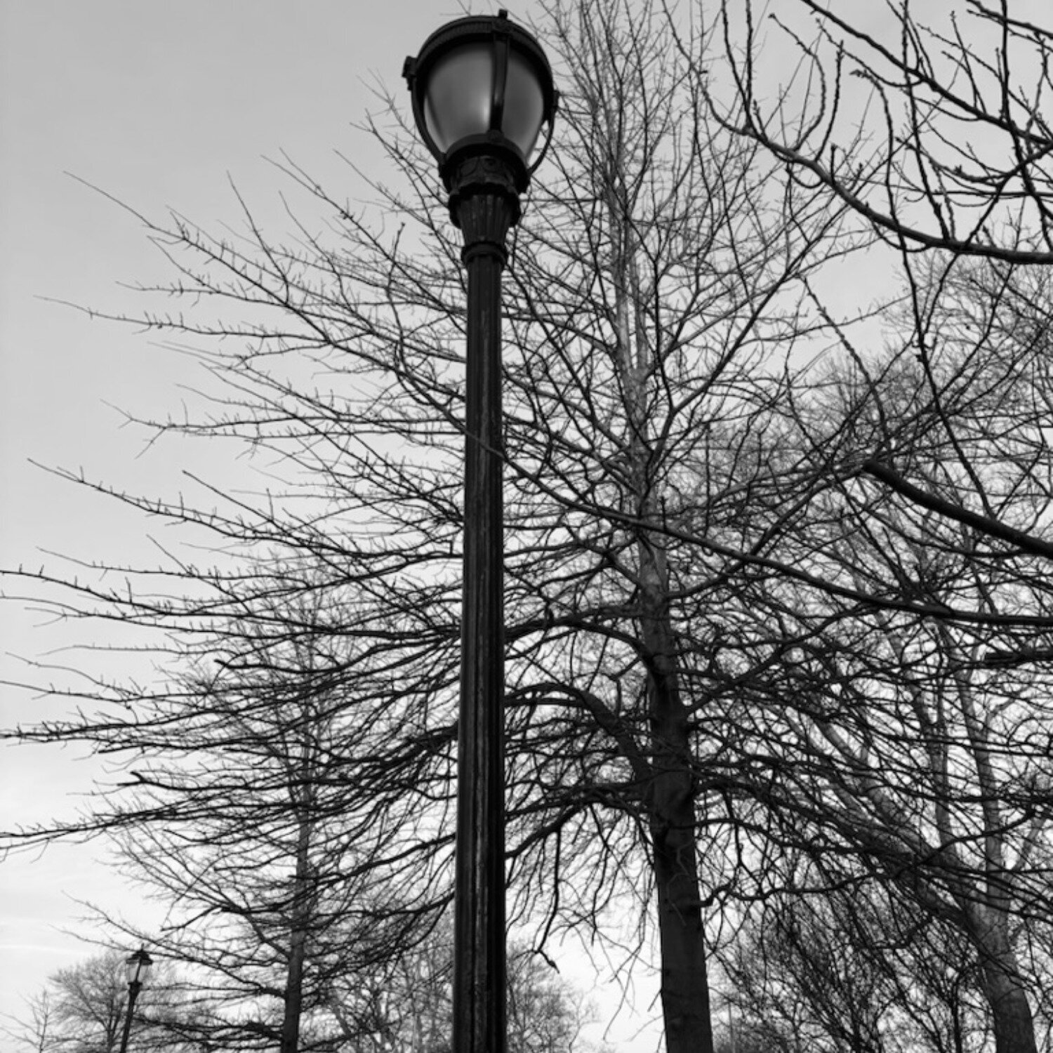 Haunted Amanda Harris Photography for sale