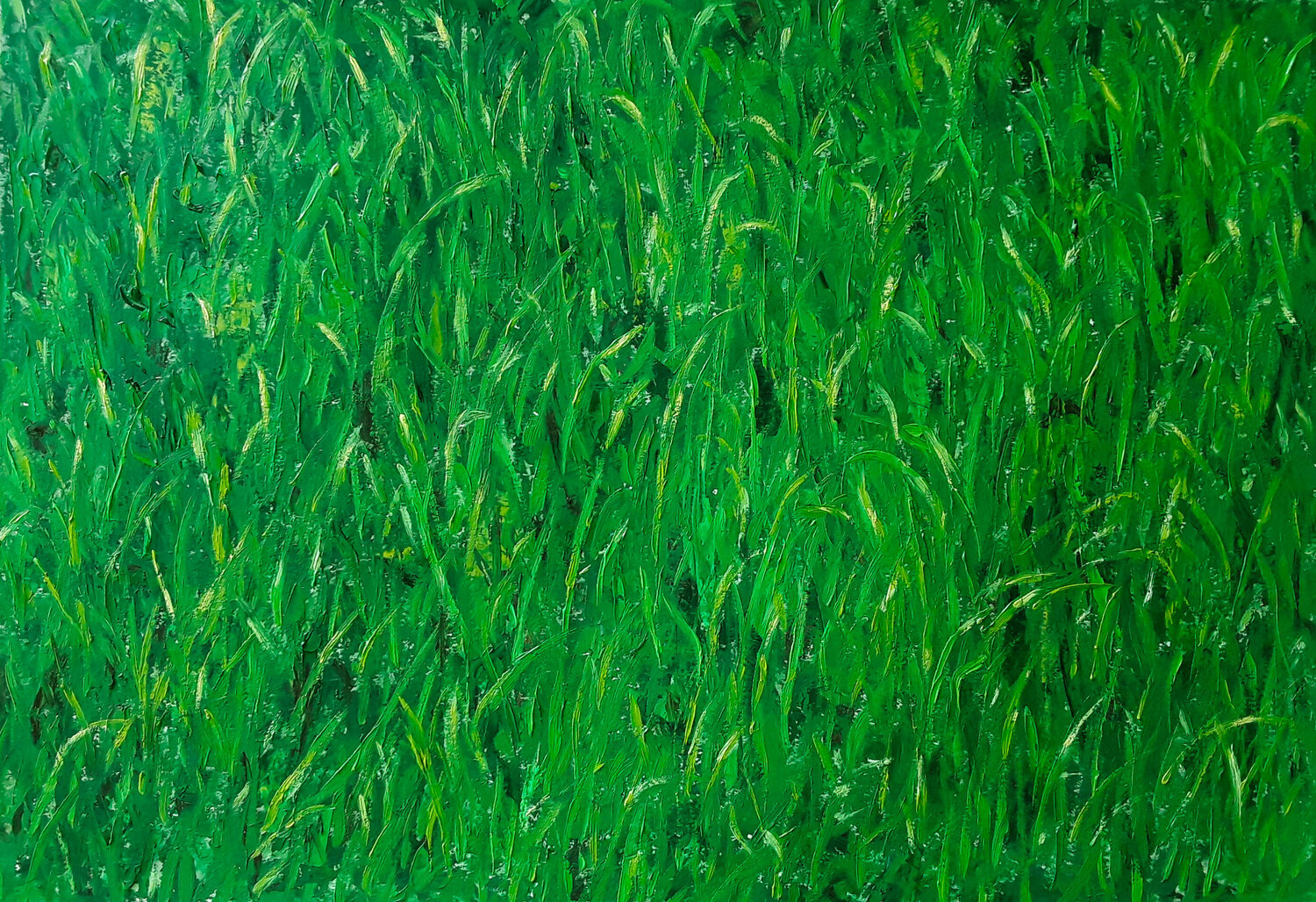 Chlorophyll Livia-Doina Stanciu