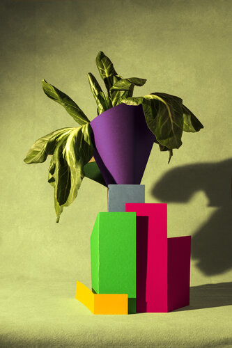 Epinards. Paris, décembre 2024. de Sarmento Ludovic, Fotografía a la venta en Singulart