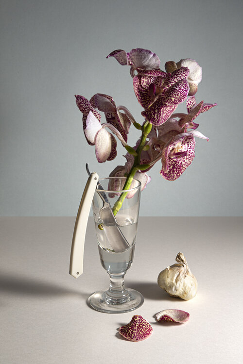 Orchidée. Paris, octobre 2022. Sarmento Ludovic