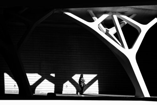 Presenze 6 von Mauro Marletto, Fotografie kaufen auf Singulart