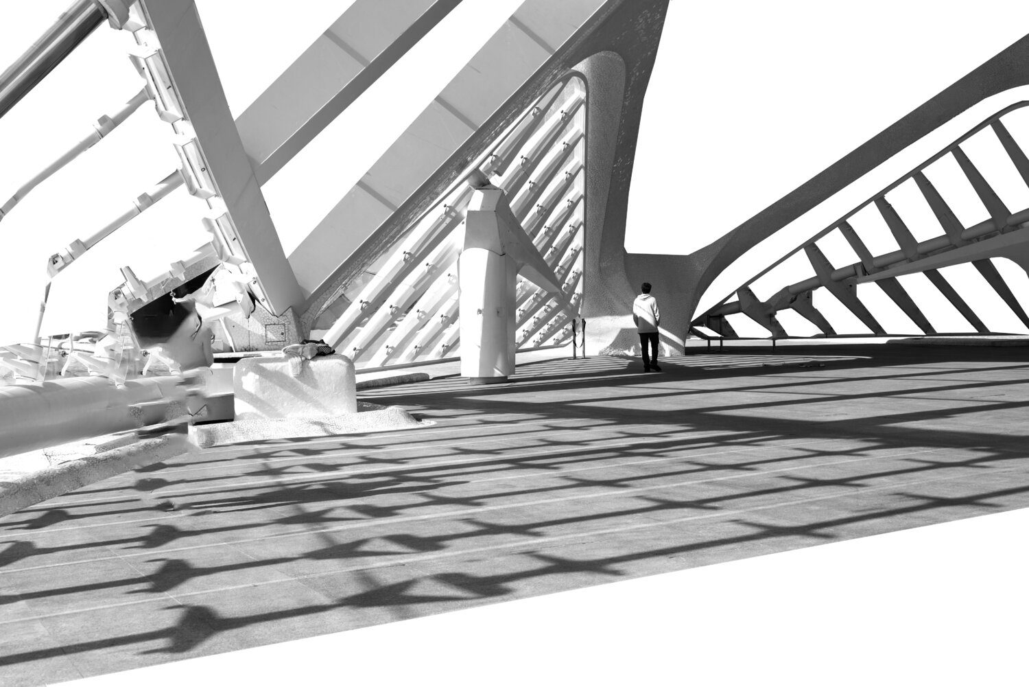 Presenze 5 Mauro Marletto