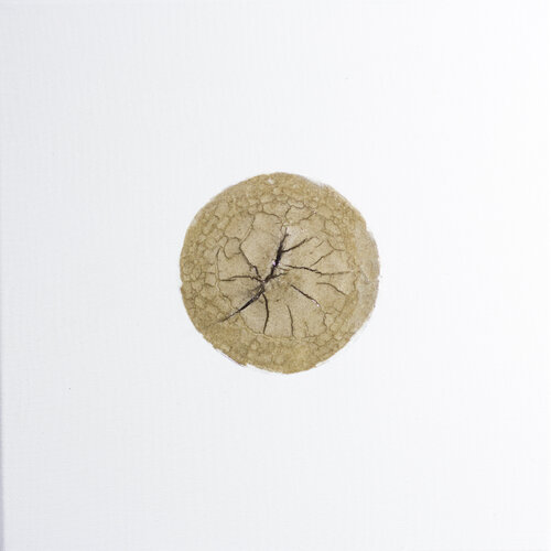 Objet non-precieux II, (levin, aquarelle cheveux et resine sur toile) von Anna Sieradzka, Andere Medien kaufen auf Singulart