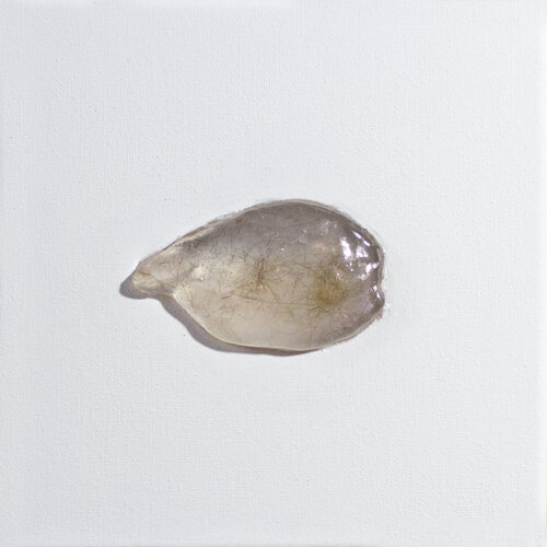 Objet non-precieux III, (cheveux et resine sur toile) von Anna Sieradzka, Andere Medien kaufen auf Singulart