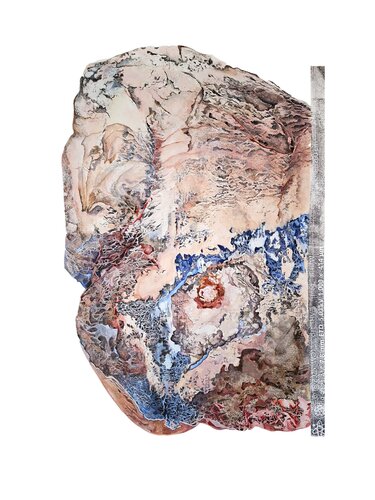 Stonebody I - (When Stone Became Body: entangled temporalities of the human and the geological) von Anna Sieradzka, Werk auf Papier kaufen auf Singulart