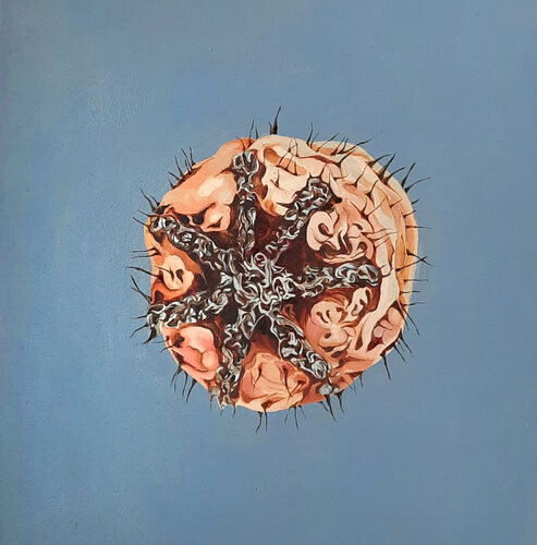 Thorn in Becoming (Papaver rhoeas), projet Humain-Non-humain von Anna Sieradzka, Malerei kaufen auf Singulart