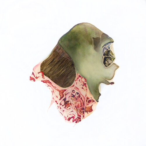 Vigne (2610) von Anna Sieradzka, Malerei kaufen auf Singulart
