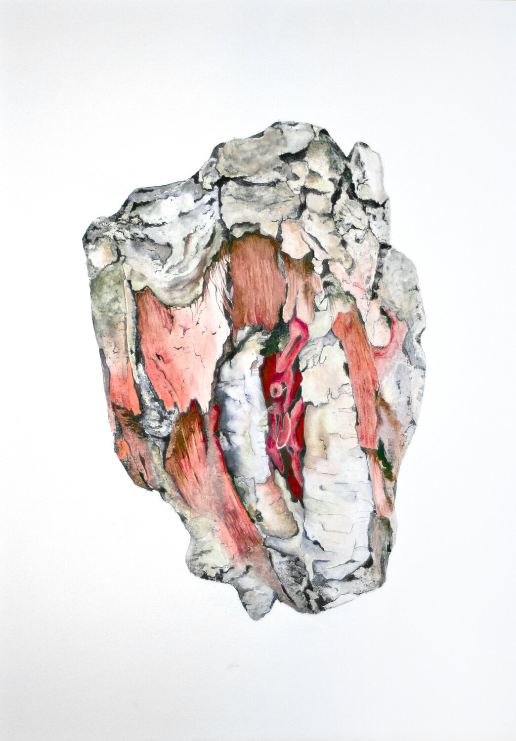 Sans titre (2607) (serie "Plantes’body") Anna Sieradzka Druck zu verkaufen