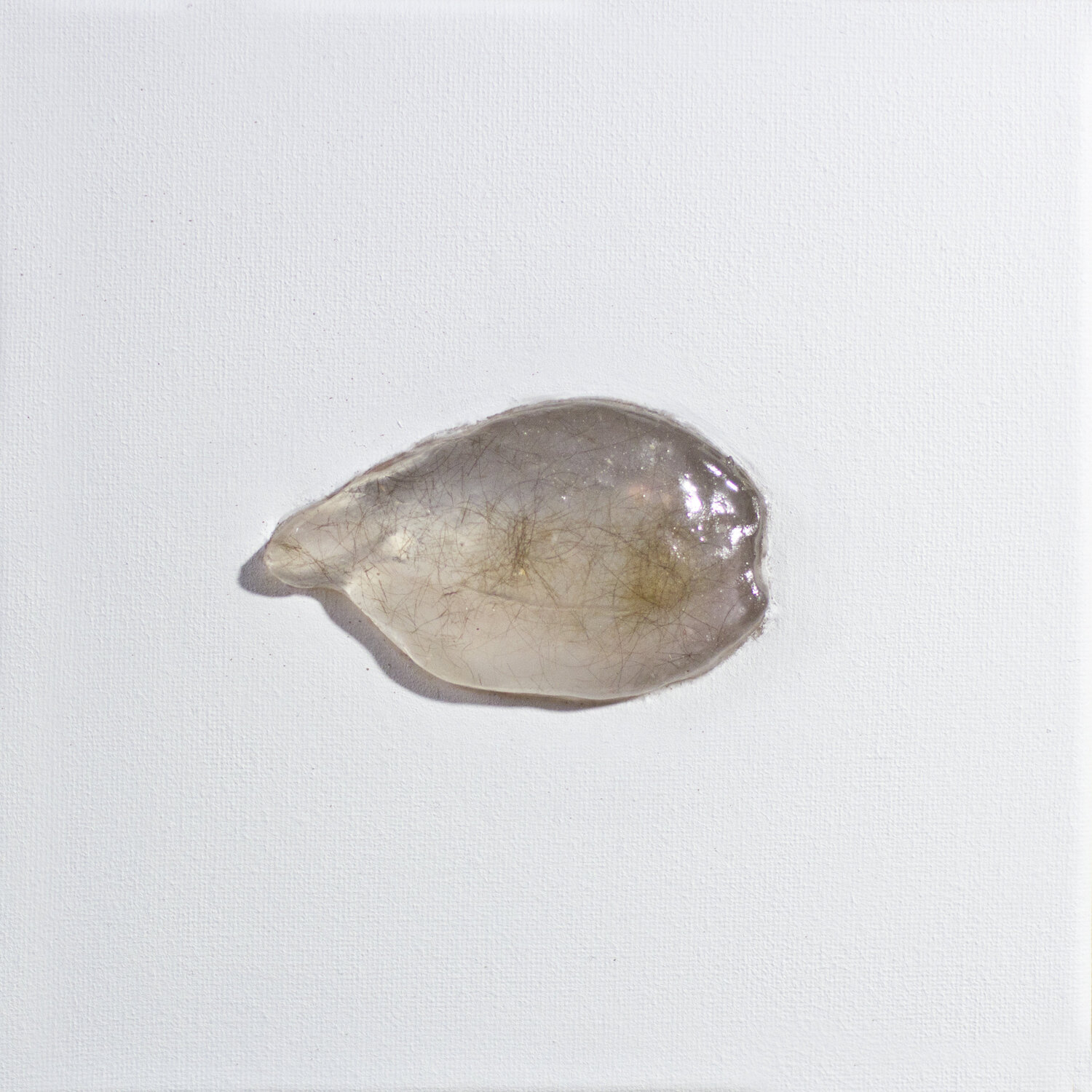 Objet non-precieux III, (cheveux et resine sur toile) Anna Sieradzka Andere Medien zu verkaufen