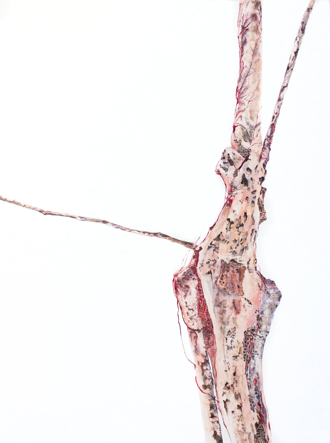 "Trees (2613)", de la serie Plant's body Anna Sieradzka Werk auf Papier zu verkaufen