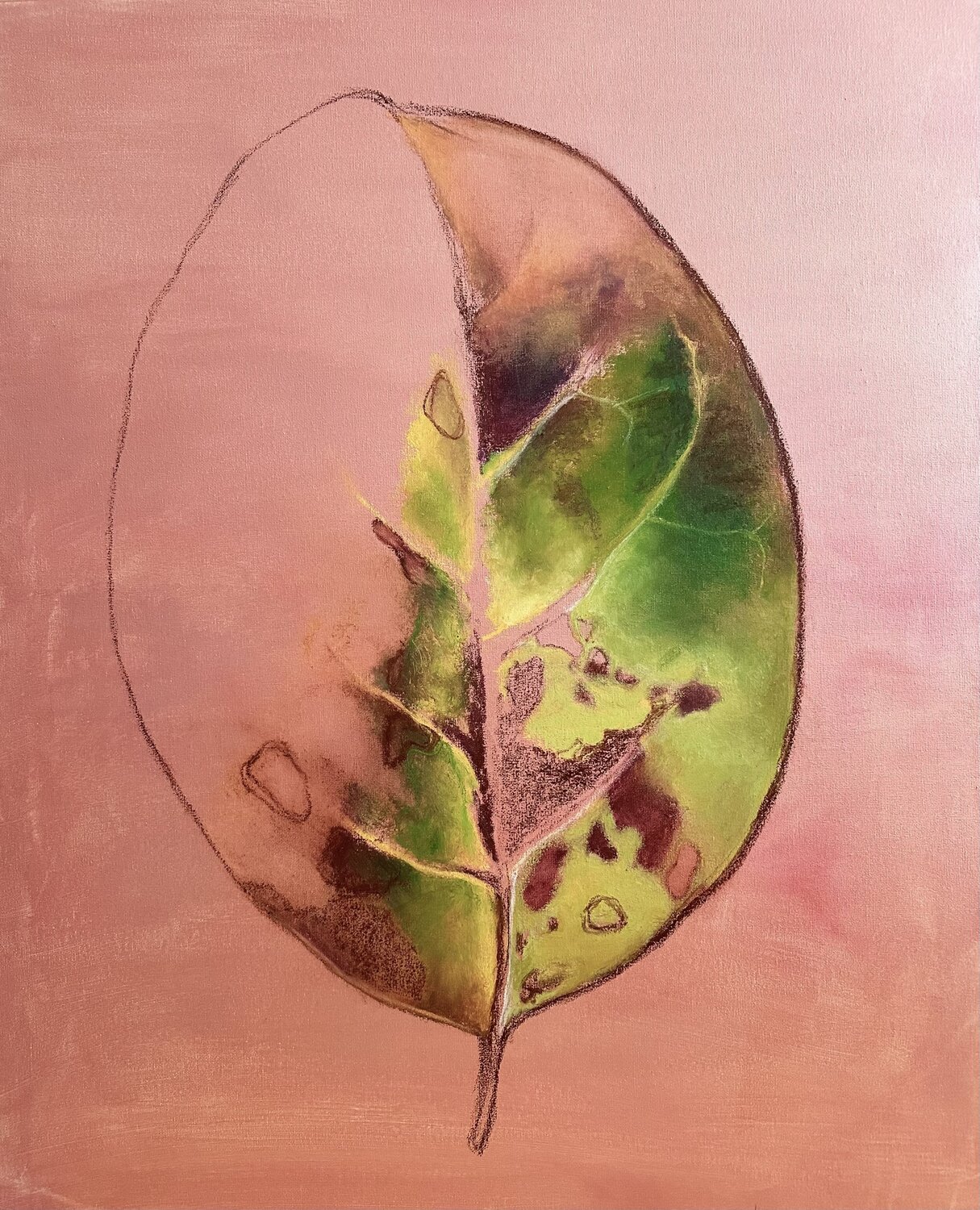 Feuille Alessandra Abbruzzese