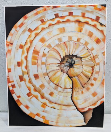 Sundial Shell von Linda Z Artist, Malerei kaufen auf Singulart