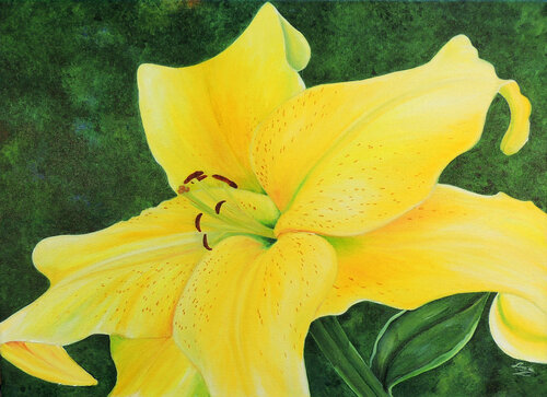 Red & Yellow Tulip von Linda Z Artist, Malerei kaufen auf Singulart