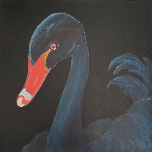 Black Swan by Andrea Eisenberger, Painting for Sale on Singulart