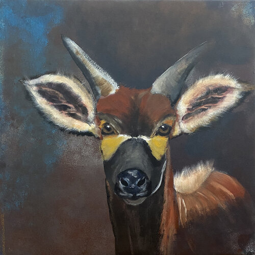 Okapi von Andrea Eisenberger, Malerei kaufen auf Singulart