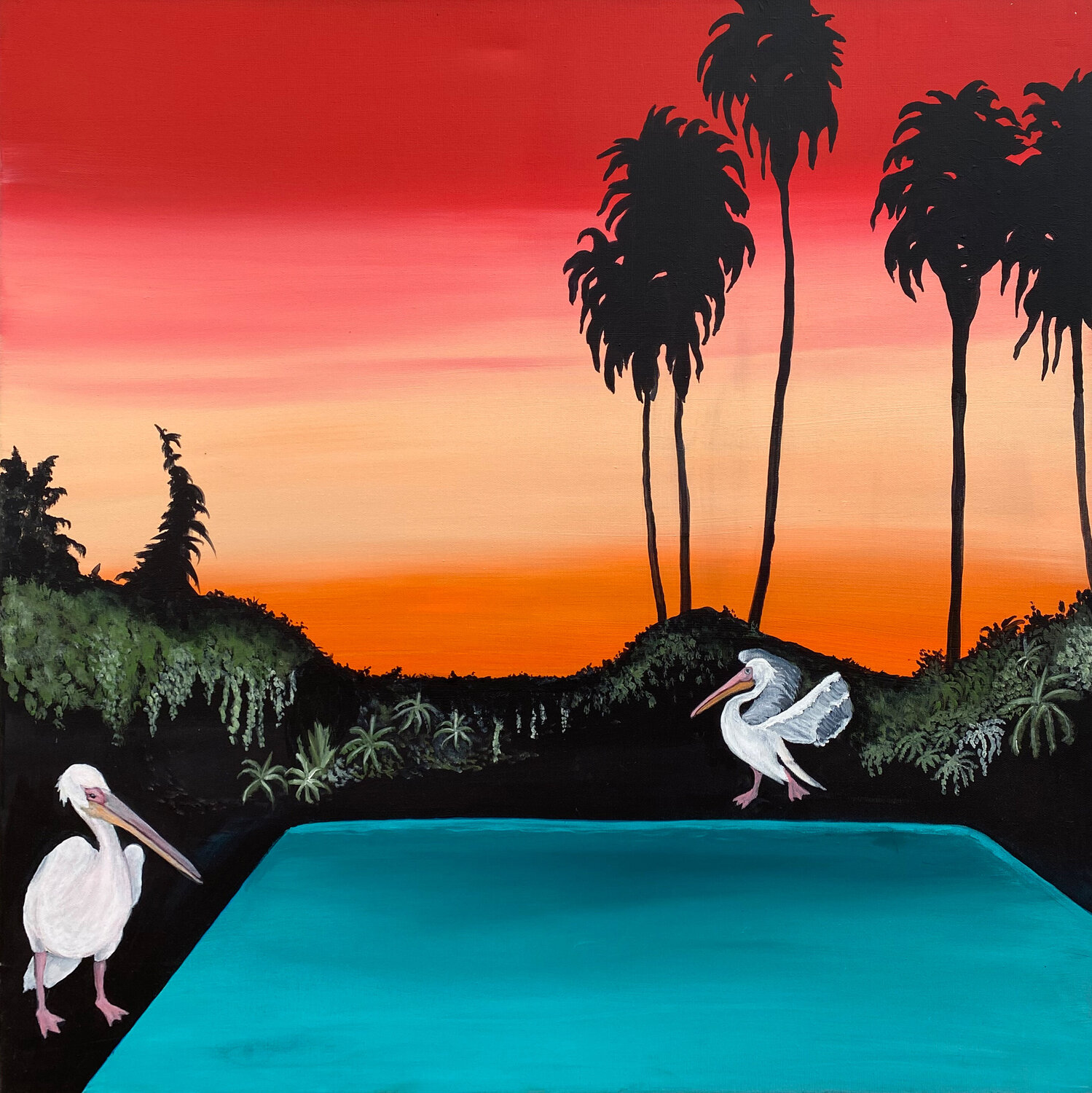 Pelicans Sundowner Andrea Eisenberger