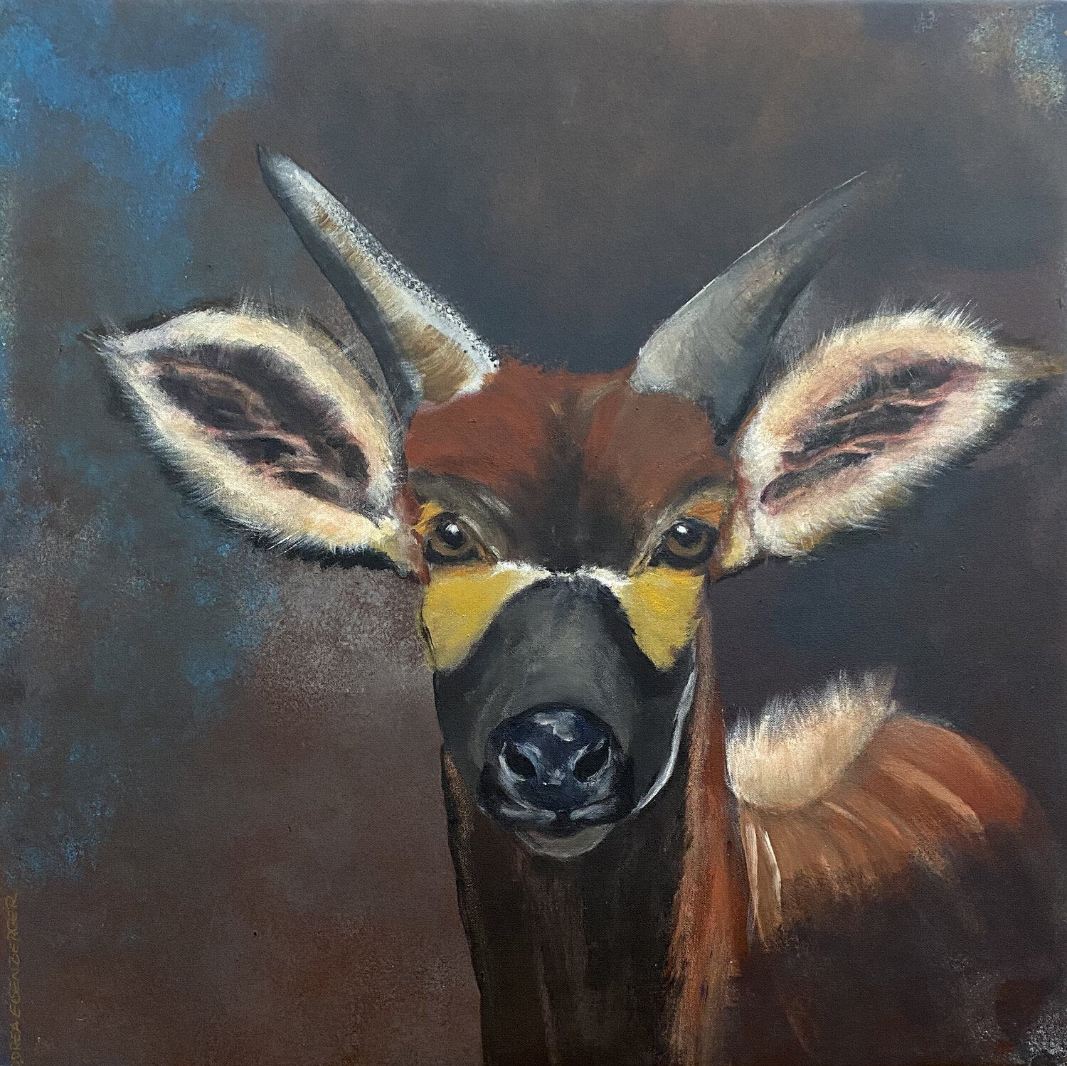 Okapi Andrea Eisenberger