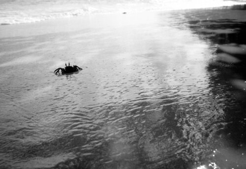 Seychelles von Paolo Cristiani, Fotografie kaufen auf Singulart