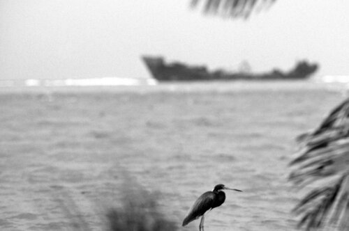 Belize van Paolo Cristiani, Fotografie te koop op Singulart