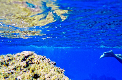 Lampedusa, Italy von Paolo Cristiani, Fotografie kaufen auf Singulart