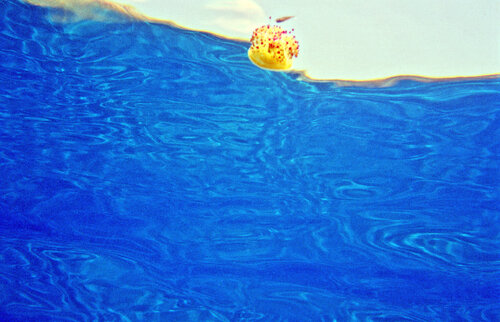 Jellyfish in the sky,  Sardegna von Paolo Cristiani, Fotografie kaufen auf Singulart