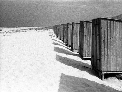 North Netherland, 2024 di Paolo Cristiani, Fotografia in vendita su Singulart