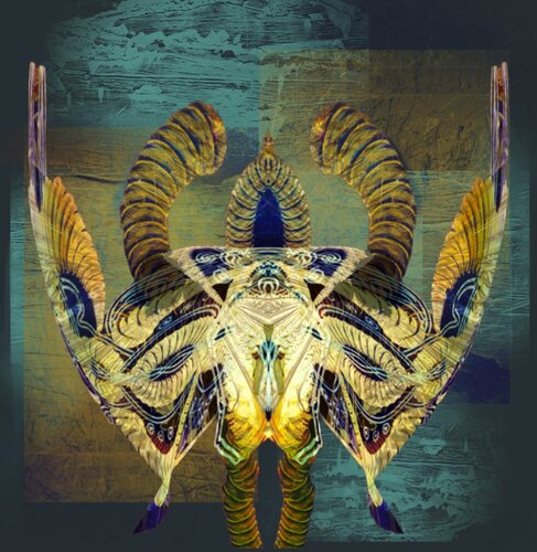 Scarabeo von Maria Grazia Zohar di Karstenegg, Digital kaufen auf Singulart