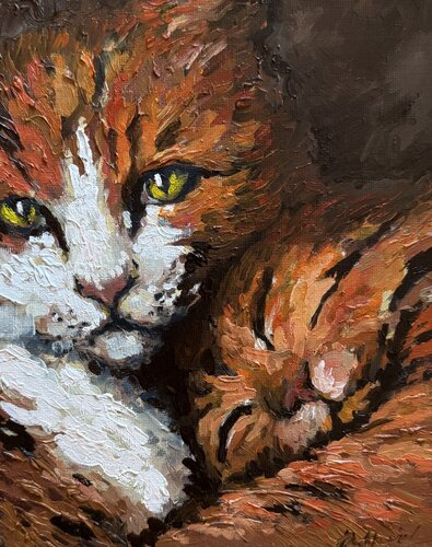 Two sleepy kittens van Ekaterina Dutkevich, Schilderij te koop op Singulart