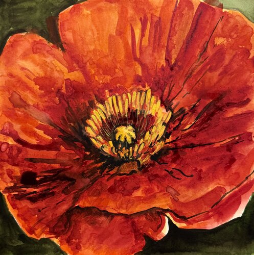 Poppy flower van Ekaterina Dutkevich, Schilderij te koop op Singulart
