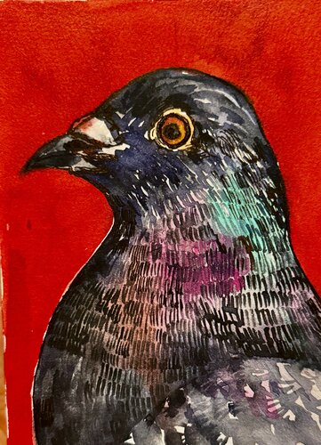Pigeon portrait van Ekaterina Dutkevich, Schilderij te koop op Singulart