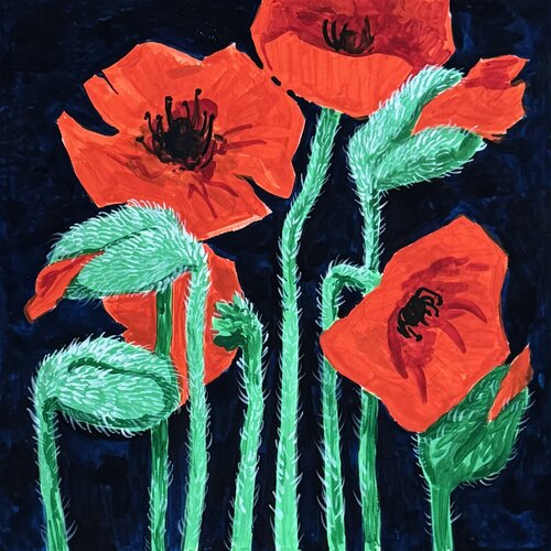 Poppy flowers von Ekaterina Dutkevich, Malerei kaufen auf Singulart