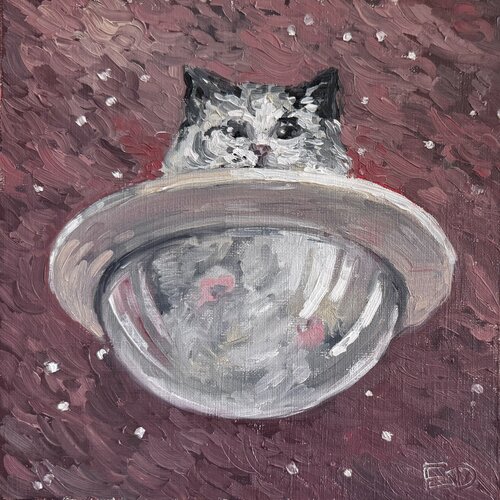 Flying Cat von Ekaterina Dutkevich, Malerei kaufen auf Singulart
