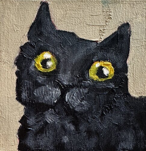 Black cat by Ekaterina Dutkevich, Painting for Sale on Singulart