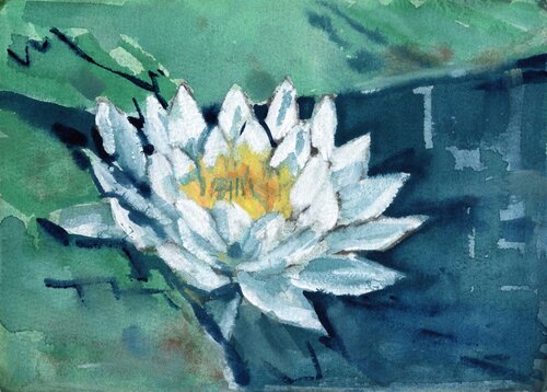 Water lily von Ekaterina Dutkevich, Malerei kaufen auf Singulart
