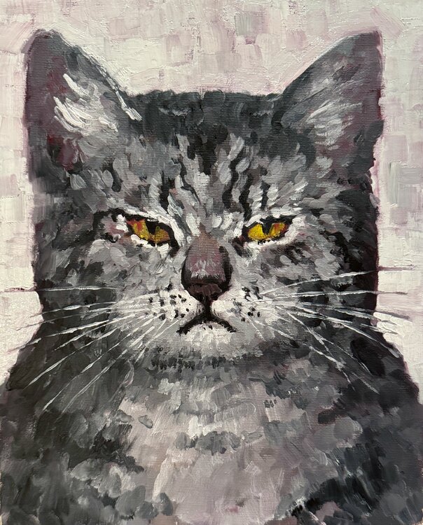 Cat portrait Ekaterina Dutkevich