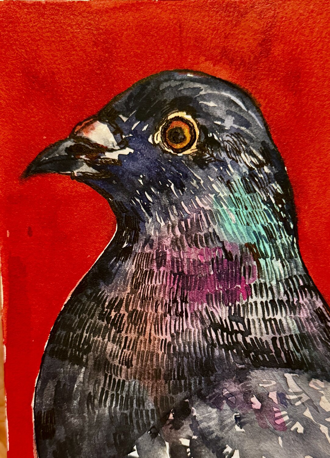 Pigeon portrait Ekaterina Dutkevich
