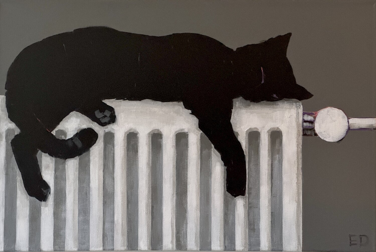 Radiator cat Ekaterina Dutkevich
