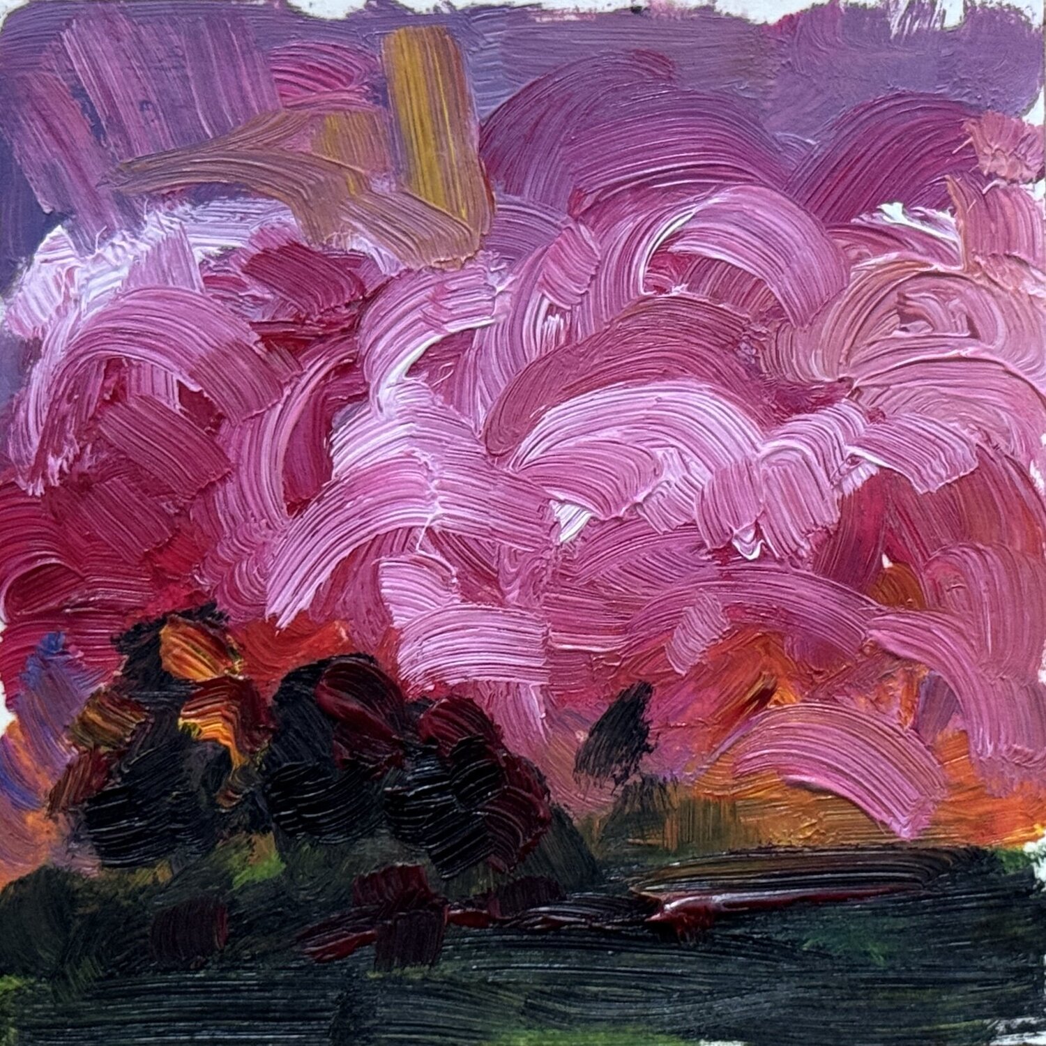 Sunset Ekaterina Dutkevich