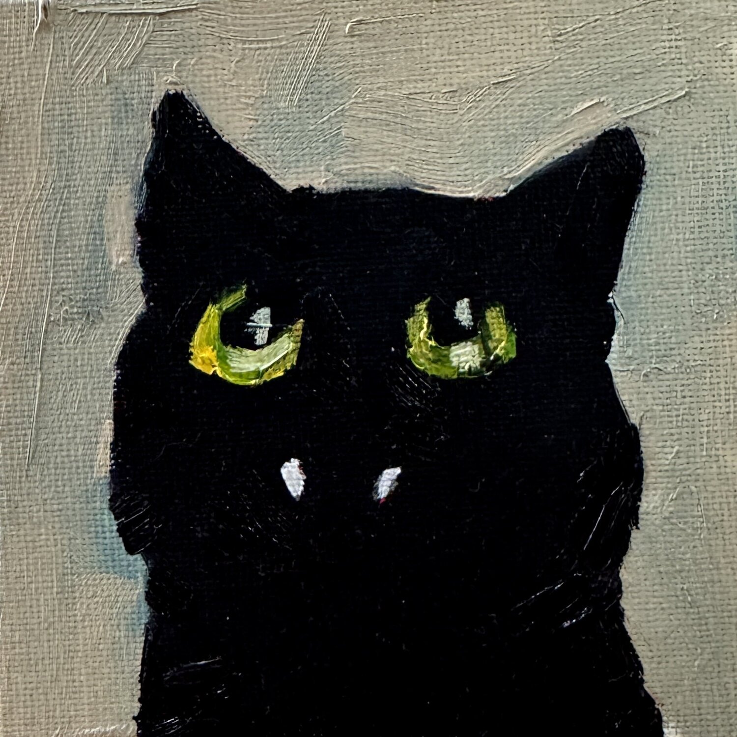 Black cat gaze Ekaterina Dutkevich