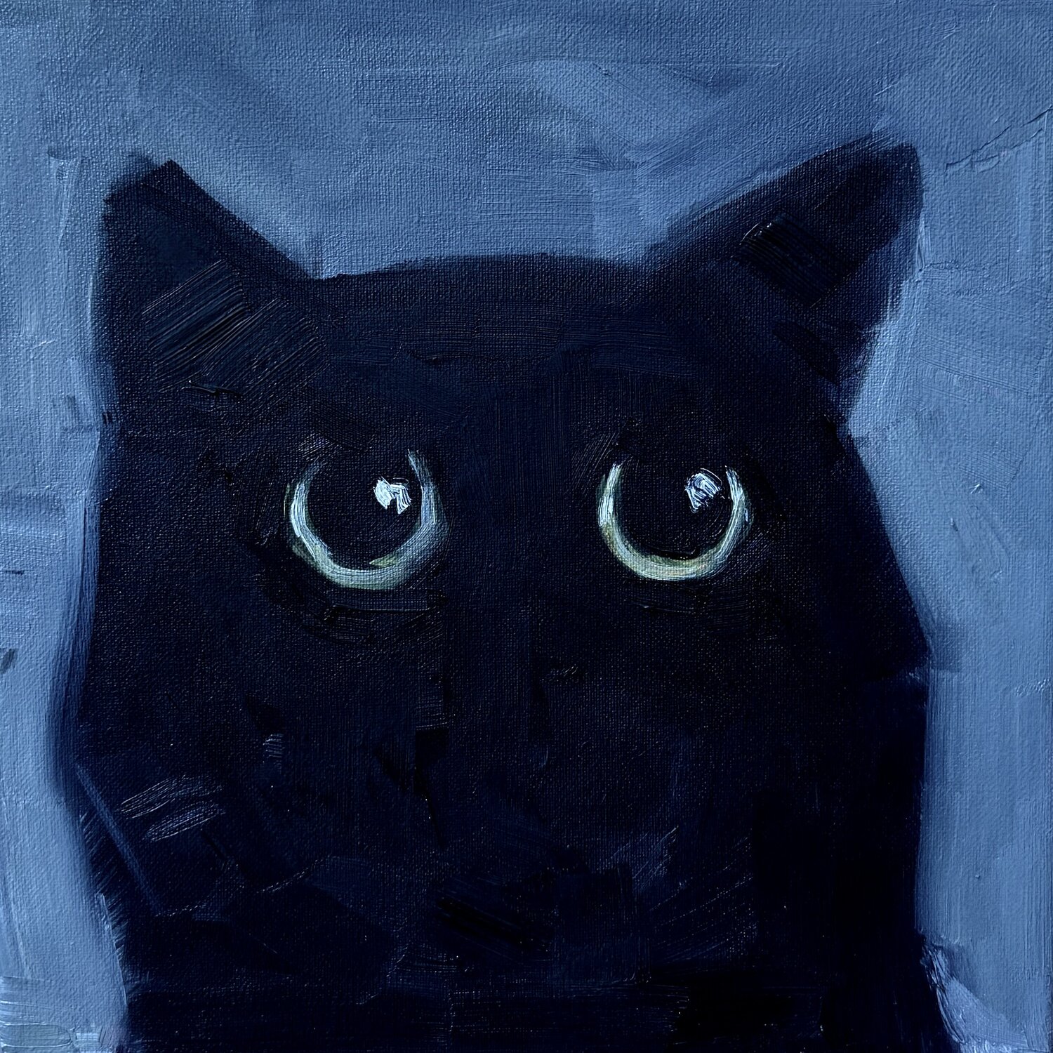 Black cat gaze Ekaterina Dutkevich