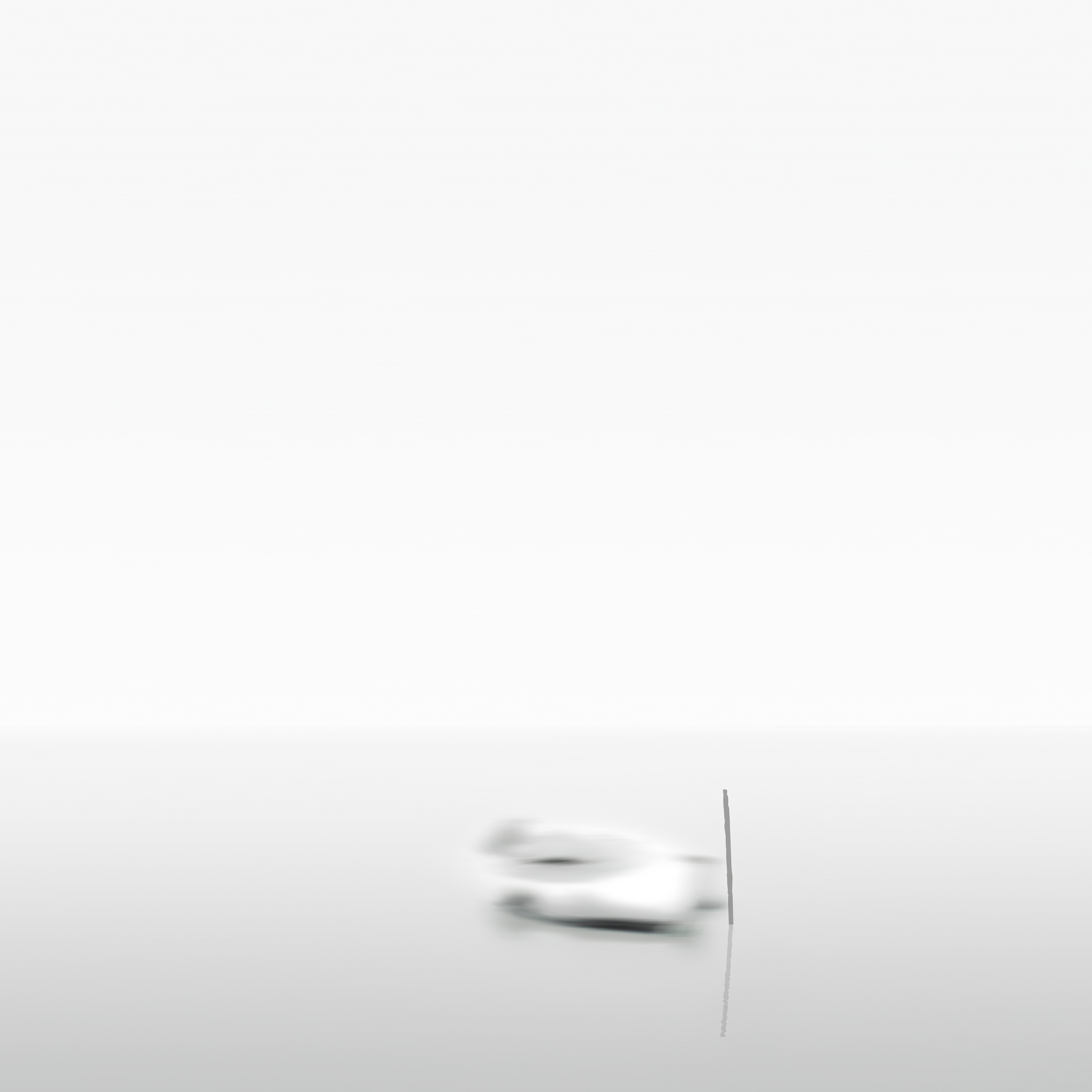 La couleur de l'année : Le blanc dans la photographie