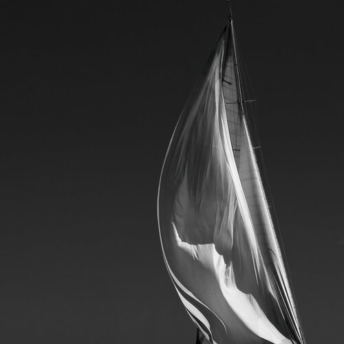 Regates Royales II di Julien Coomans, Fotografia in vendita su Singulart