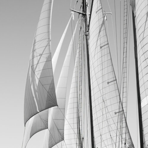 Regates Royales III di Julien Coomans, Fotografia in vendita su Singulart