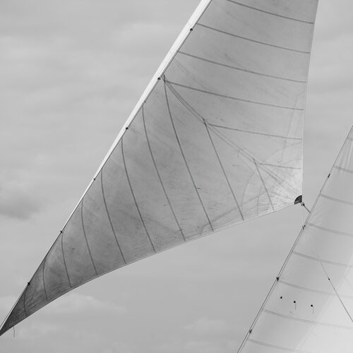 Regates Royales IV di Julien Coomans, Fotografia in vendita su Singulart